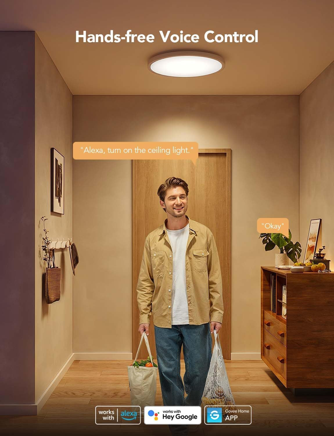 RGBIC Smart Ceiling Light 12 Inch Alexa Compatible