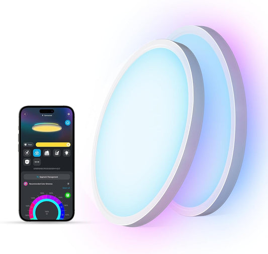 RGBIC Smart Ceiling Light 12 Inch Alexa Compatible